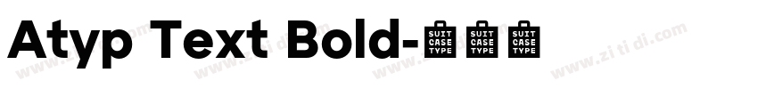 Atyp Text Bold字体转换 Atyp Text Bold字体转换